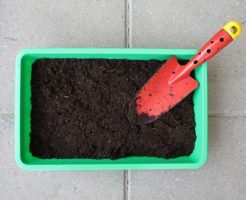 サボテン 土 肥料 種類 量
