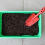 サボテンを育てる際に使う土の種類と量は？肥料の与え方は？